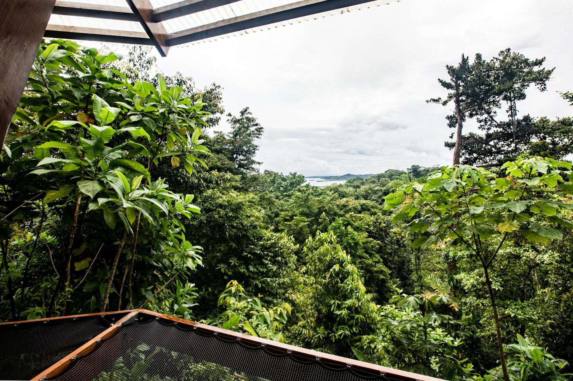 La Loma Jungle Lodge And Chocolate Farm Bocas del Toro Exterior foto